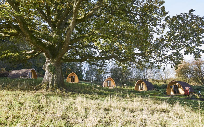Glamping pods at Whitemead Forest Park