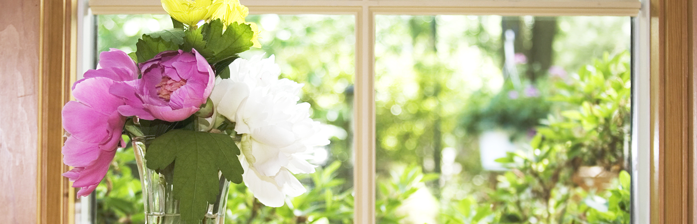 Vase of flowers on window sill