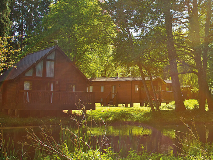 Forest of dean lodges